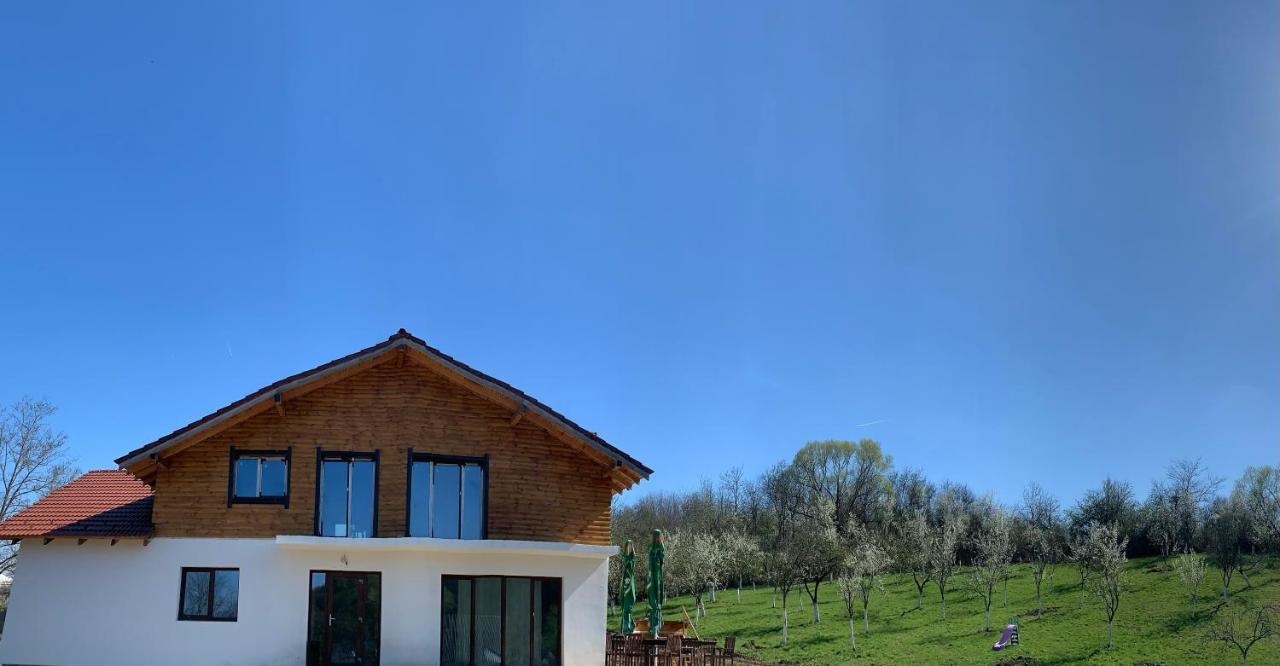 Pensiunea Lili'S House Buchin Dış mekan fotoğraf