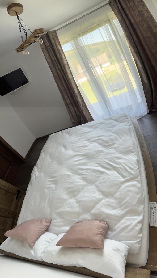 Pensiunea Lili'S House Buchin Dış mekan fotoğraf