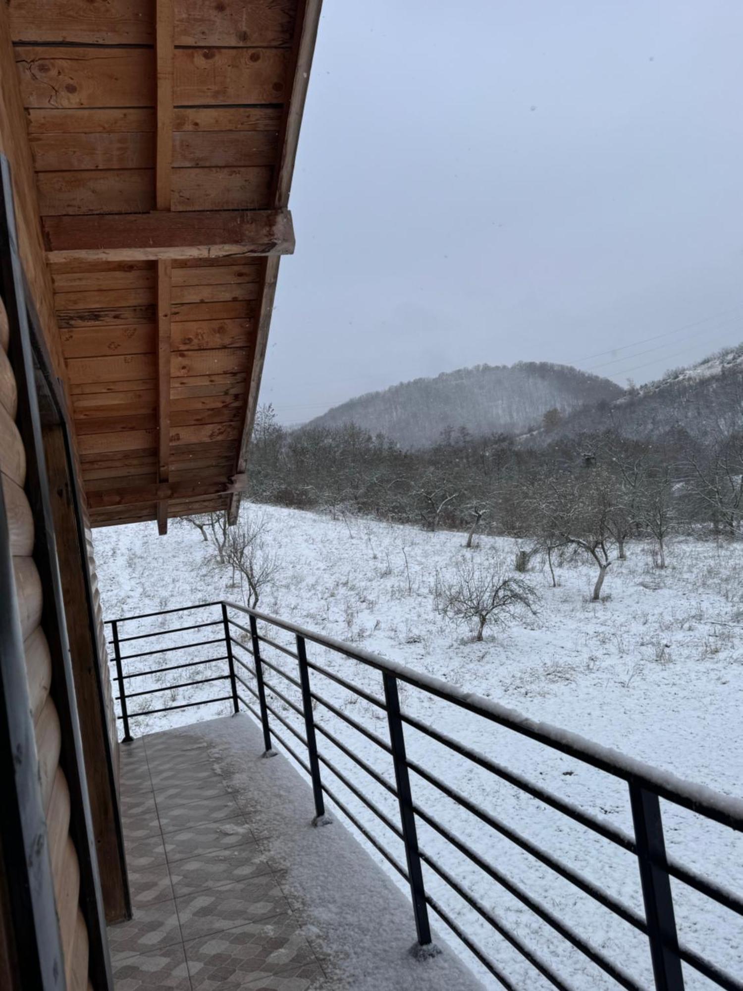 Pensiunea Lili'S House Buchin Dış mekan fotoğraf